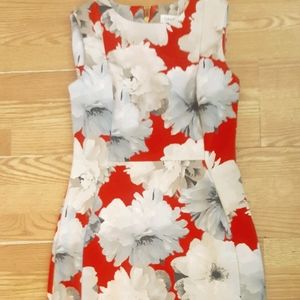 Calvin Klein Fitted Dress